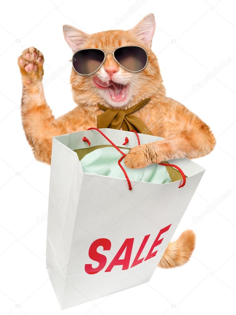 Cat. Shopper. Sales.
