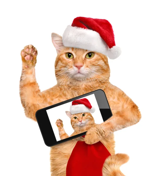 Katt i röd jul hatt med en selfie tillsammans med en smartphone. — Stockfoto