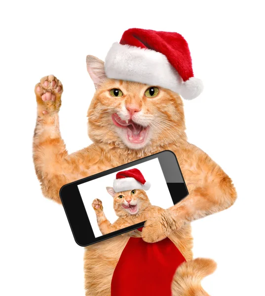 Macska a piros karácsonyi kalapot vesz egy selfie, valamint egy smartphone. — Stock Fotó