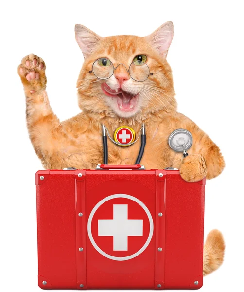 Cat with a first aid kit. — Stock Photo, Image