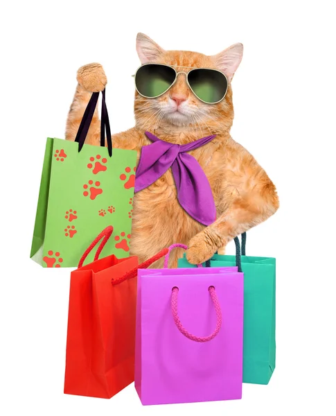 Kočka s nákupními sáčky . — Stock fotografie