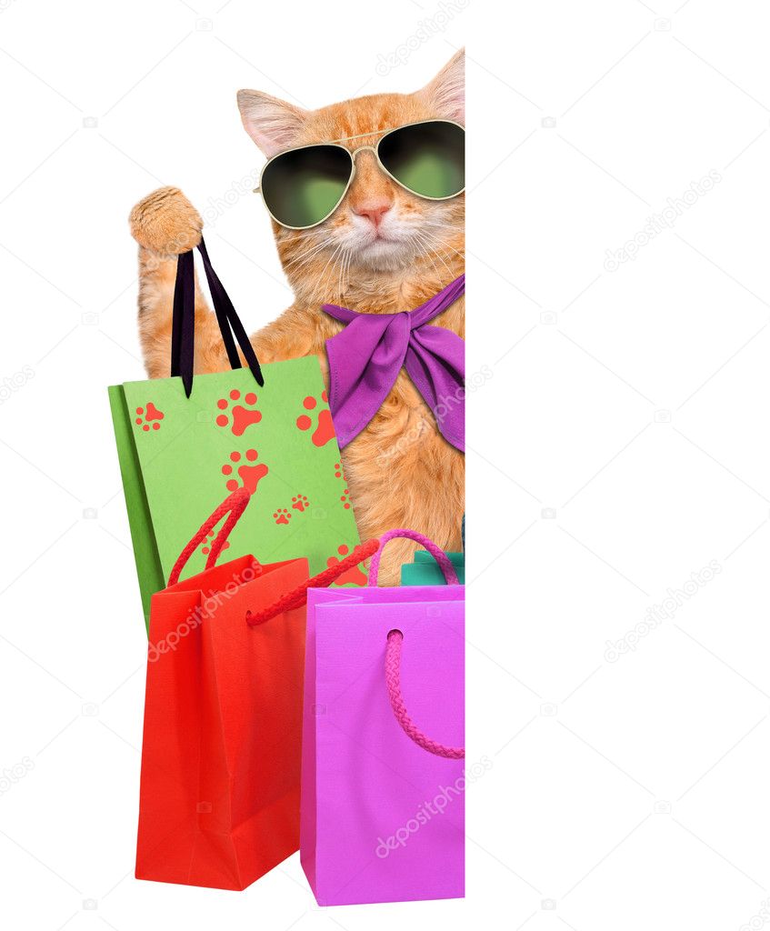Cat with shopping bags .
