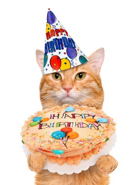 Doğum günü Kedisi .