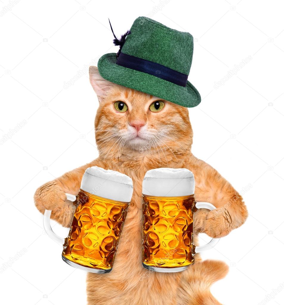 Cat with a beer mug