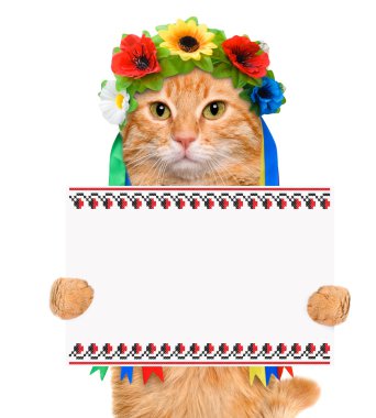 Onun tutan kedi beyaz afiş paws.