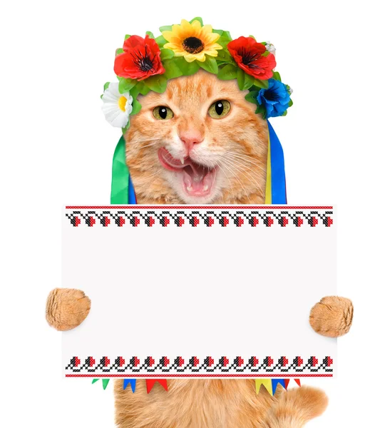 Katze hält weißes Banner in den Pfoten. — Stockfoto