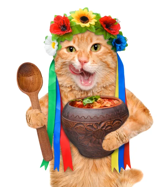 Cat in the traditional Ukrainian costume holds in paws national red borsch . — Stock Photo, Image