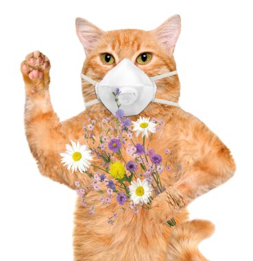 Cat wearing a face protective mask clipart
