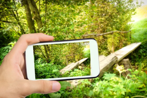 Mãos tirando foto paisagem com uma ponte de madeira sobre um rio com smartphone . — Fotografia de Stock