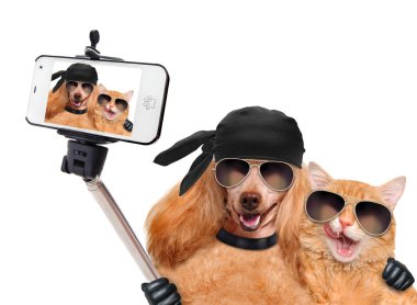bir akıllı telefon ile birlikte bir selfie alarak kedi ile köpek