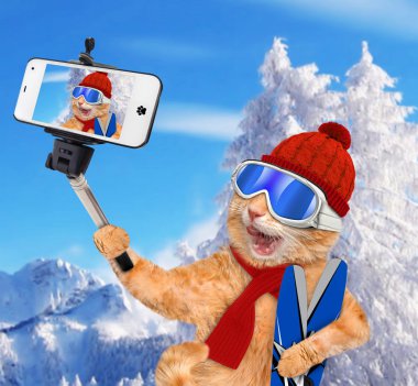 Bir akıllı telefon ile birlikte bir selfie alarak kayaklar ile kedi.