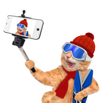 Bir akıllı telefon ile birlikte bir selfie alarak kayaklar ile kedi.