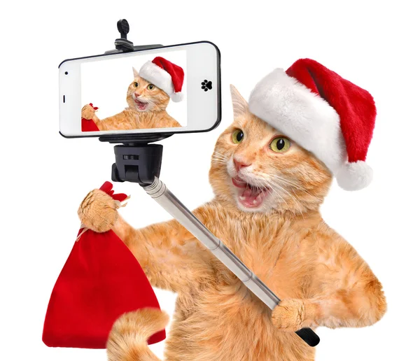 Gato en sombrero rojo de Navidad tomando una selfie junto con un teléfono inteligente . — Foto de Stock