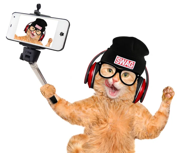 Fones de ouvido Cat tirando uma selfie junto com um smartphone . — Fotografia de Stock