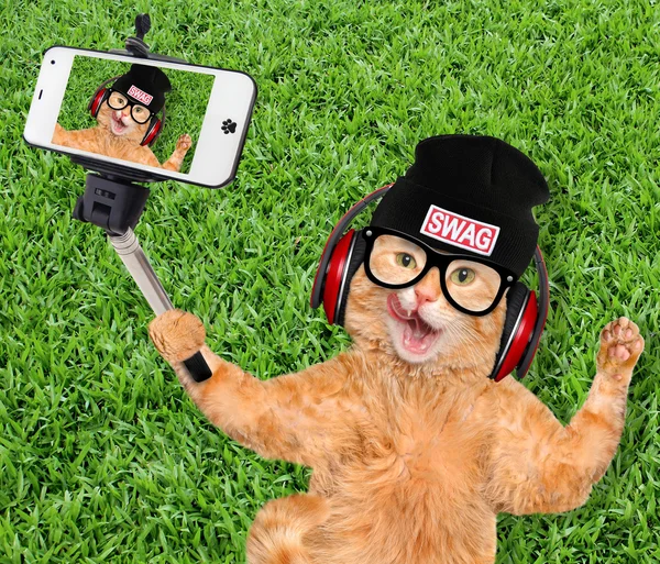 Kat nemen een selfie met een smartphone. — Stockfoto