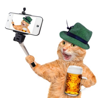 bir akıllı telefon ile bir selfie alarak kedi