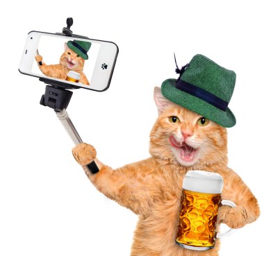 bir akıllı telefon ile bir selfie alarak kedi