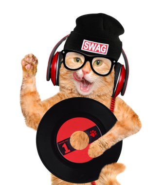 müzik kulaklık vinil plak kedi