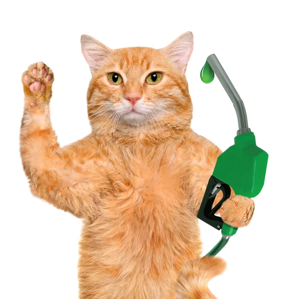 Cat's hand using fuel nozzle with a drop of eco-friendly fuel. — Stock Photo, Image