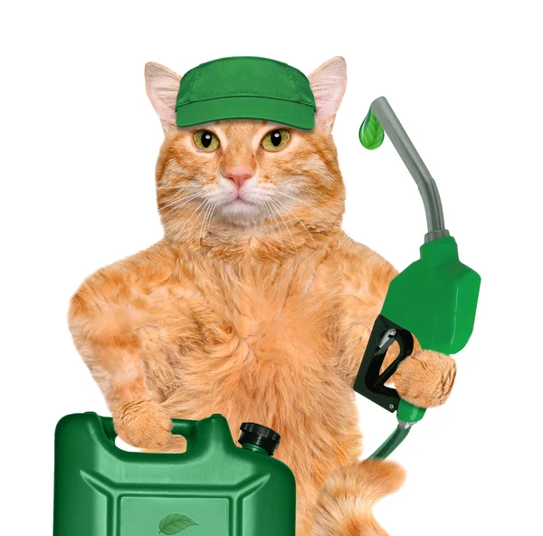Mano del gatto usando l'ugello del carburante con una goccia di carburante ecologico . — Foto Stock