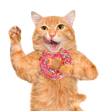 Kedi çay saati ile çörek