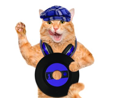 müzik kulaklık vinil plak kedi.