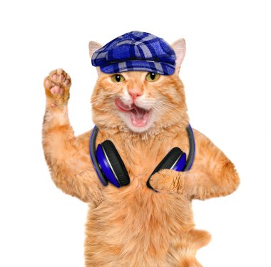 müzik kulaklık vinil plak kedi.