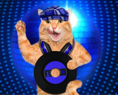 müzik kulaklık vinil plak kedi.