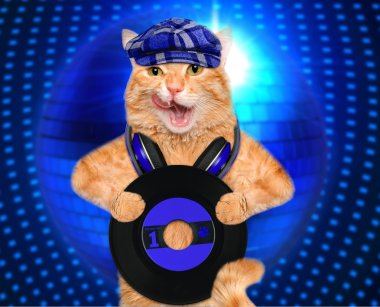 müzik kulaklık vinil plak kedi.