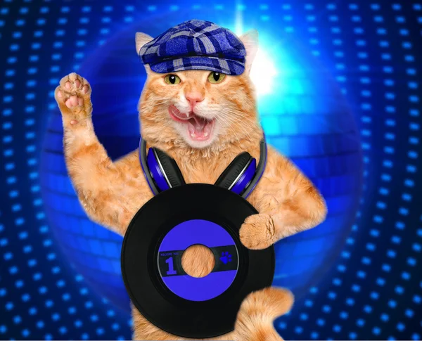 Zene fejhallgató vinil rekord macska. — Stock Fotó