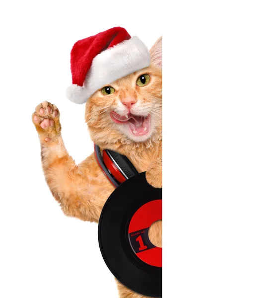 Music headphone vinyl record cat . — стоковое фото