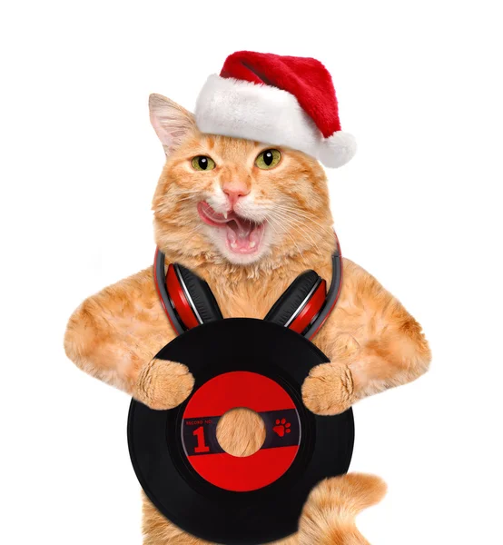 Gato en sombrero rojo tiene un disco de vinilo  . — Foto de Stock