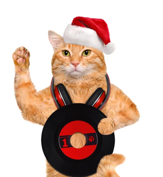Кот в красной шляпе держит виниловую пластинку  . — стоковое фото