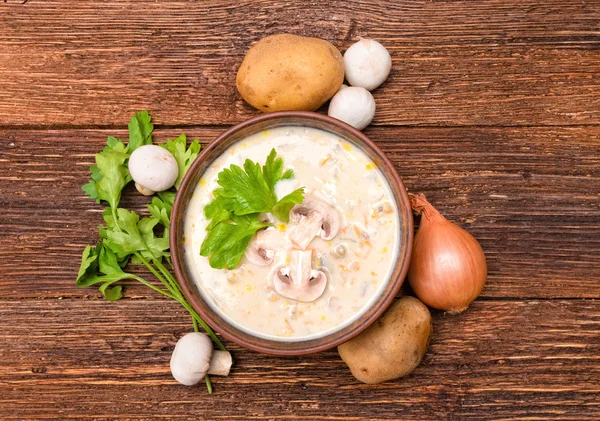 Sopa de cogumelos. O conceito de cozinhar . — Fotografia de Stock