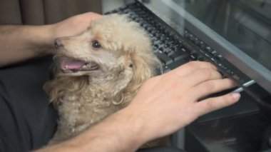Köpekli adam klavye dokunur