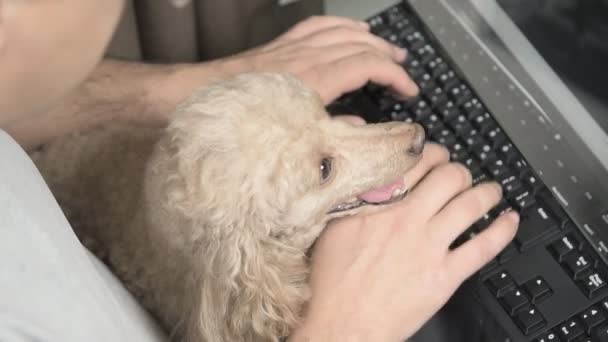 El hombre con el perro toca el teclado — Vídeo de stock