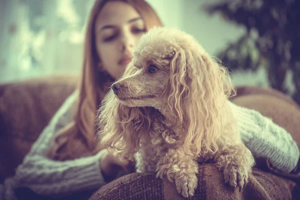 Ung flicka vilar med en hund på fåtöljen hemma . — Stockfoto