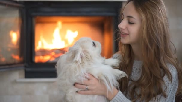 Fiatal lány kutyával játszik az otthonban. — Stock videók