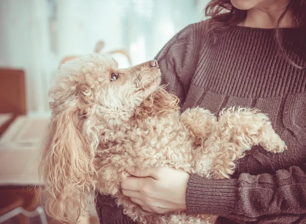 Young women is resting with a dog at home . — Stock Photo, Image