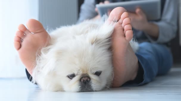 Молодые женщины отдыхают с собакой на полу дома и используют планшет  . — стоковое видео