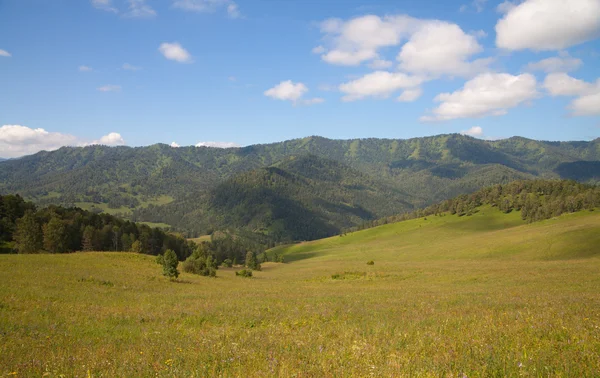 Paisagem montesa Imagem De Stock