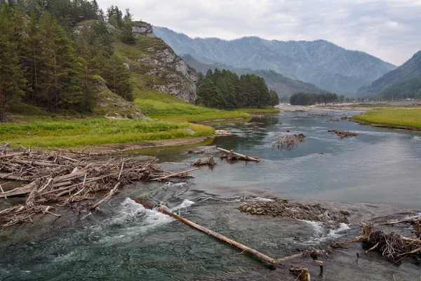 Houten logboeken op berg rivier stroomt langs kleine Canyon — Stockfoto