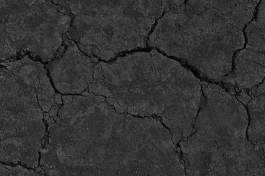 Siyah kuru kuraklık kara deri pantolon ile