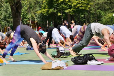 19 Haziran 2016. Rusya, Rostov-on-Don, park im. Oktyabrskoy Revoly