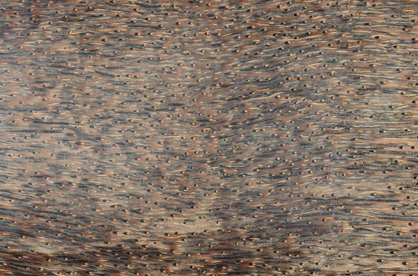 Close up exotic wood background — Stock Photo, Image