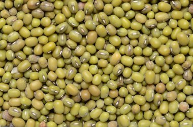 Mung fasulye arka kapatmak