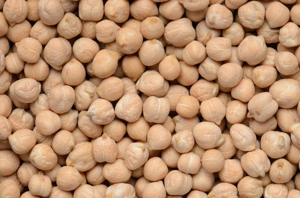 Close up chick-pea grains background — Stock Photo, Image