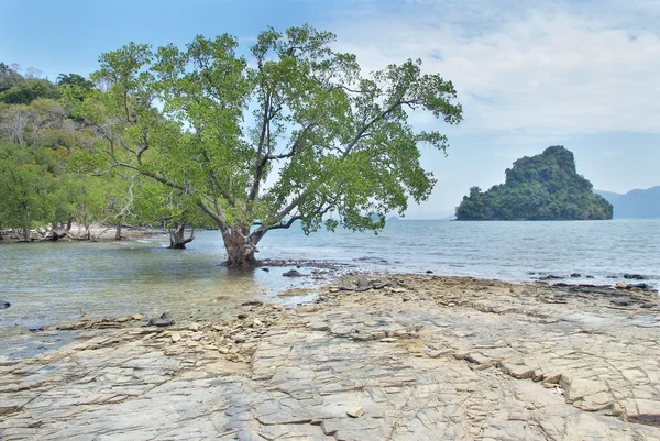 Paysage de mer avec la petite île — Photo