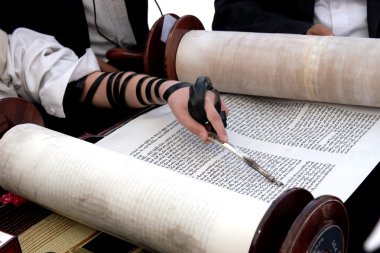 Reading the Torah clipart