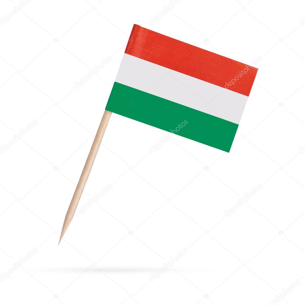 Miniature Flag Hungary. Isolated on white background